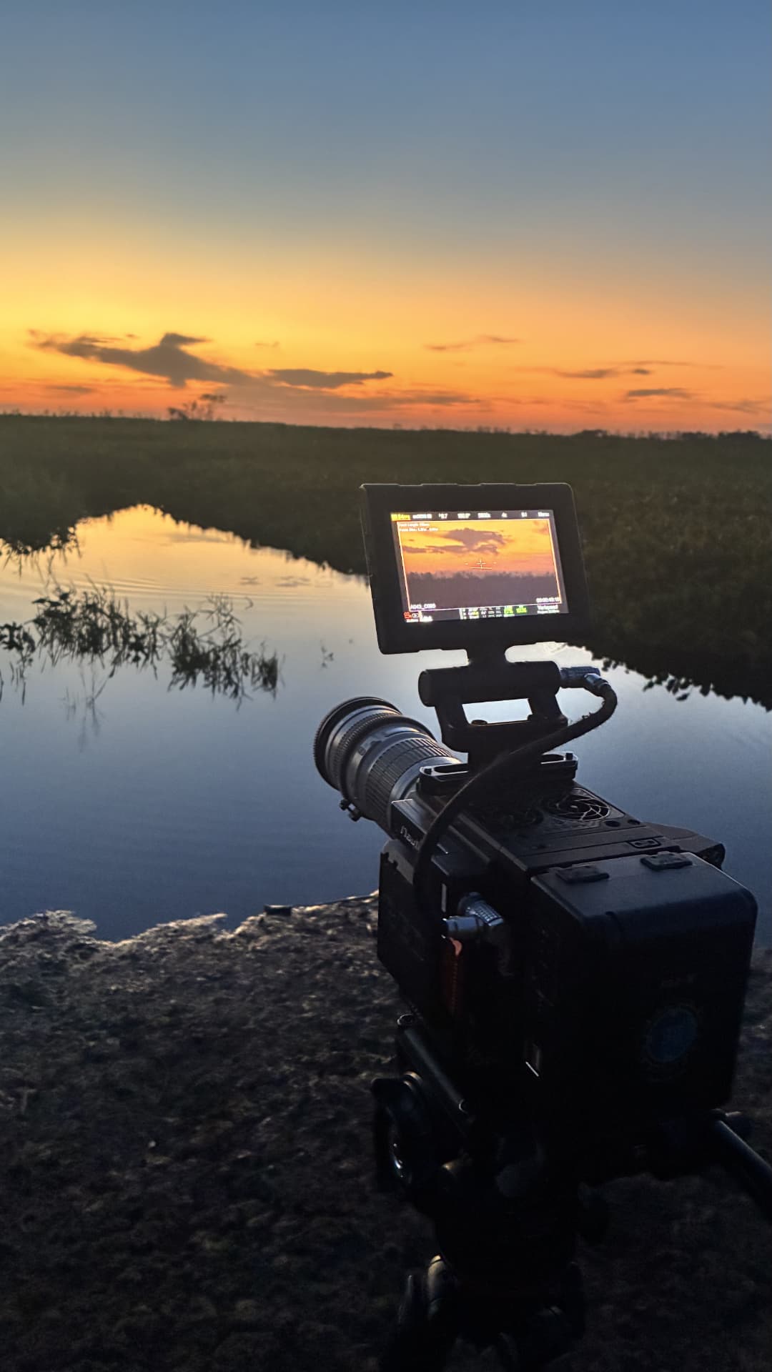 Filmmaker preparing equipment in the Pantanal wetlands at dawn
